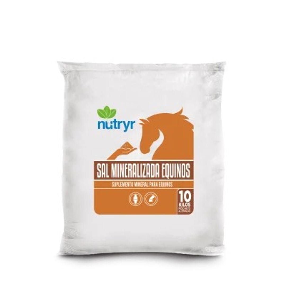 SAL MINERALIZADA EQUINOS NUTRYR X 10 Kilos