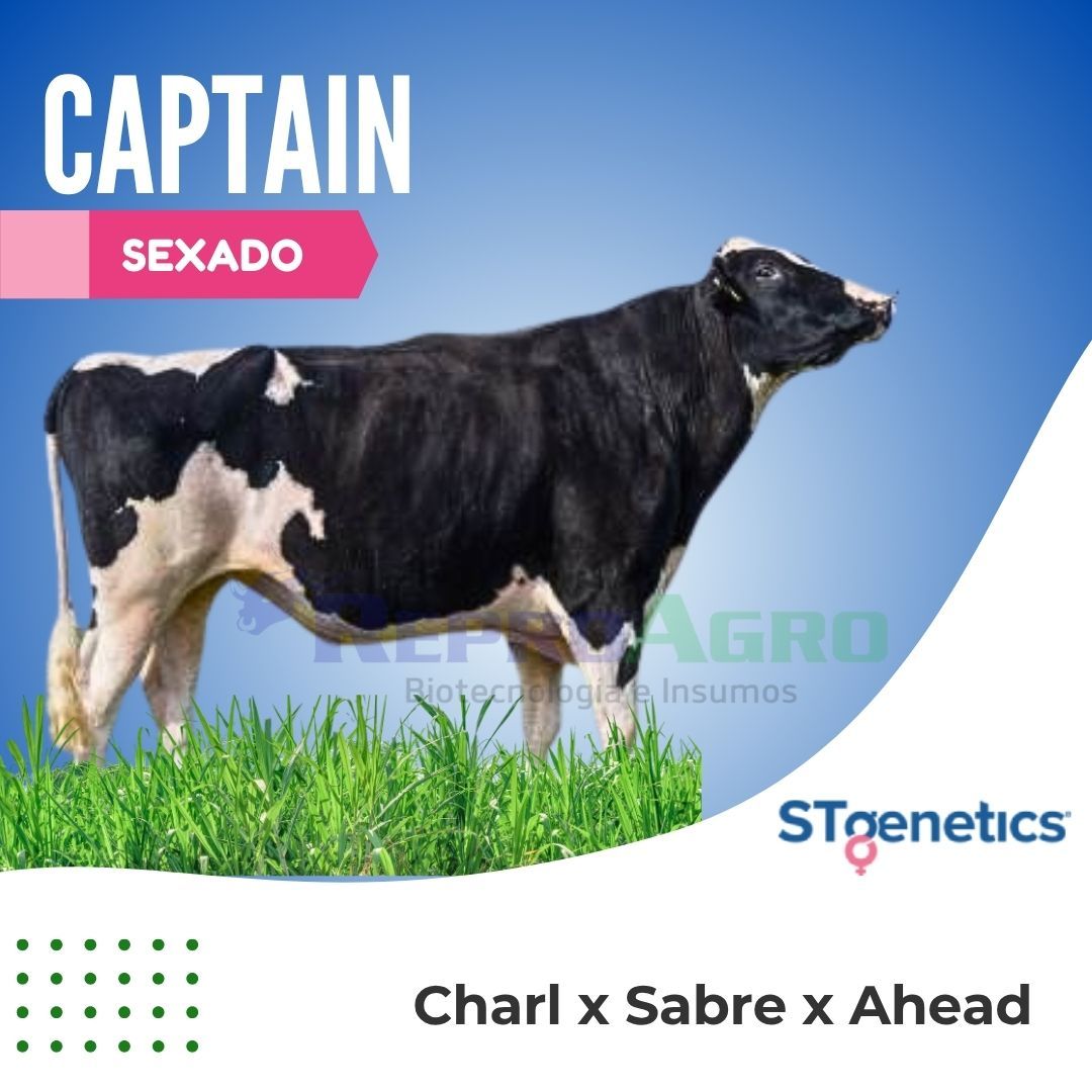 CAPTAIN SEXADO