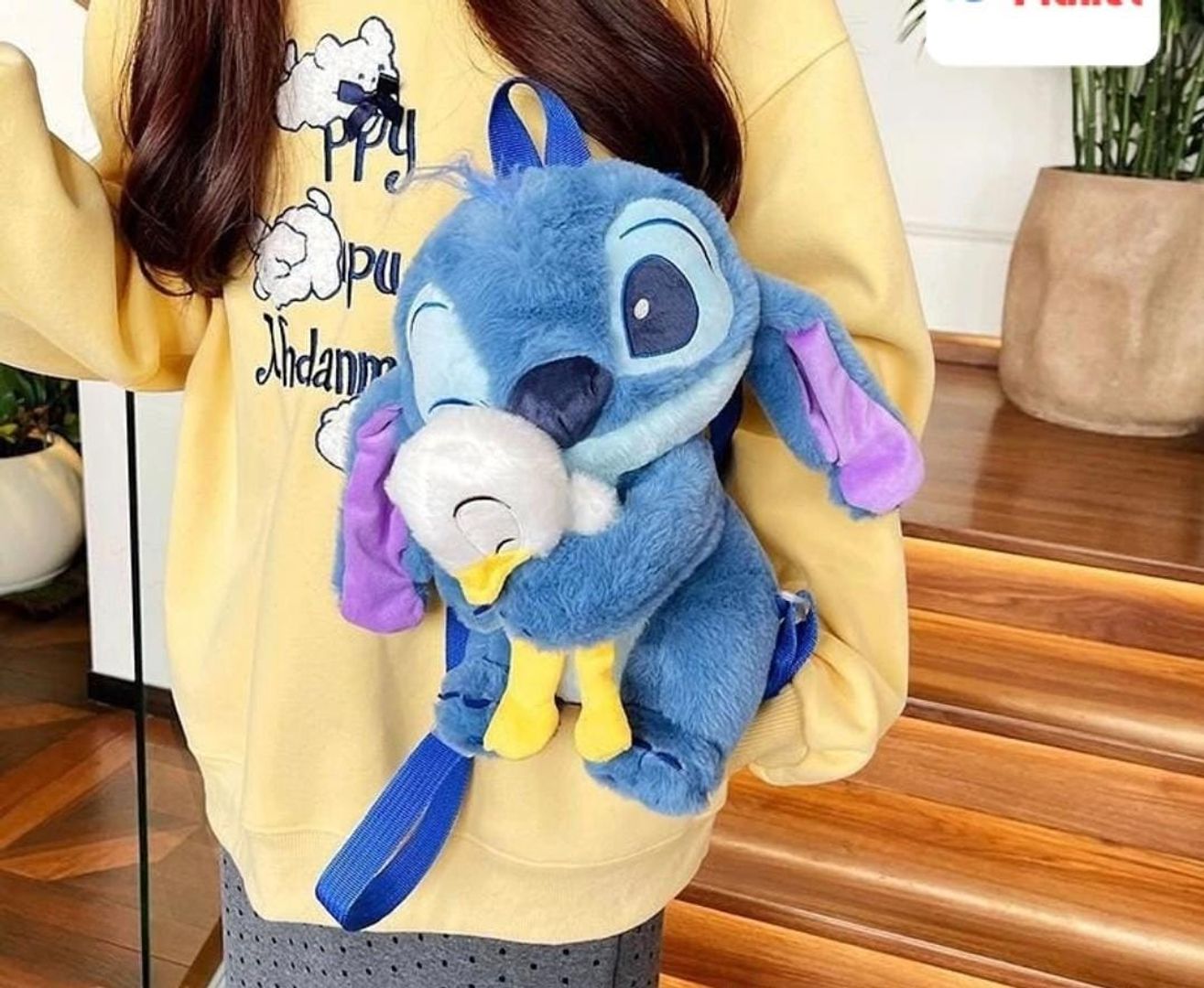 MORRAL STICH PATO 