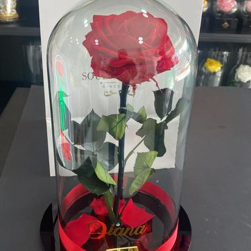 DOMO SOUL - imagen 1