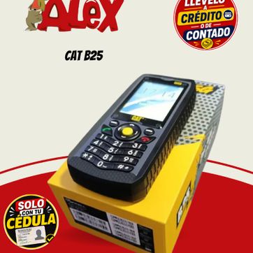 Imagen del producto CAT B25 Réplica