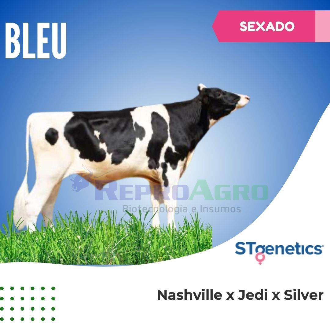 BLEU SEXADO