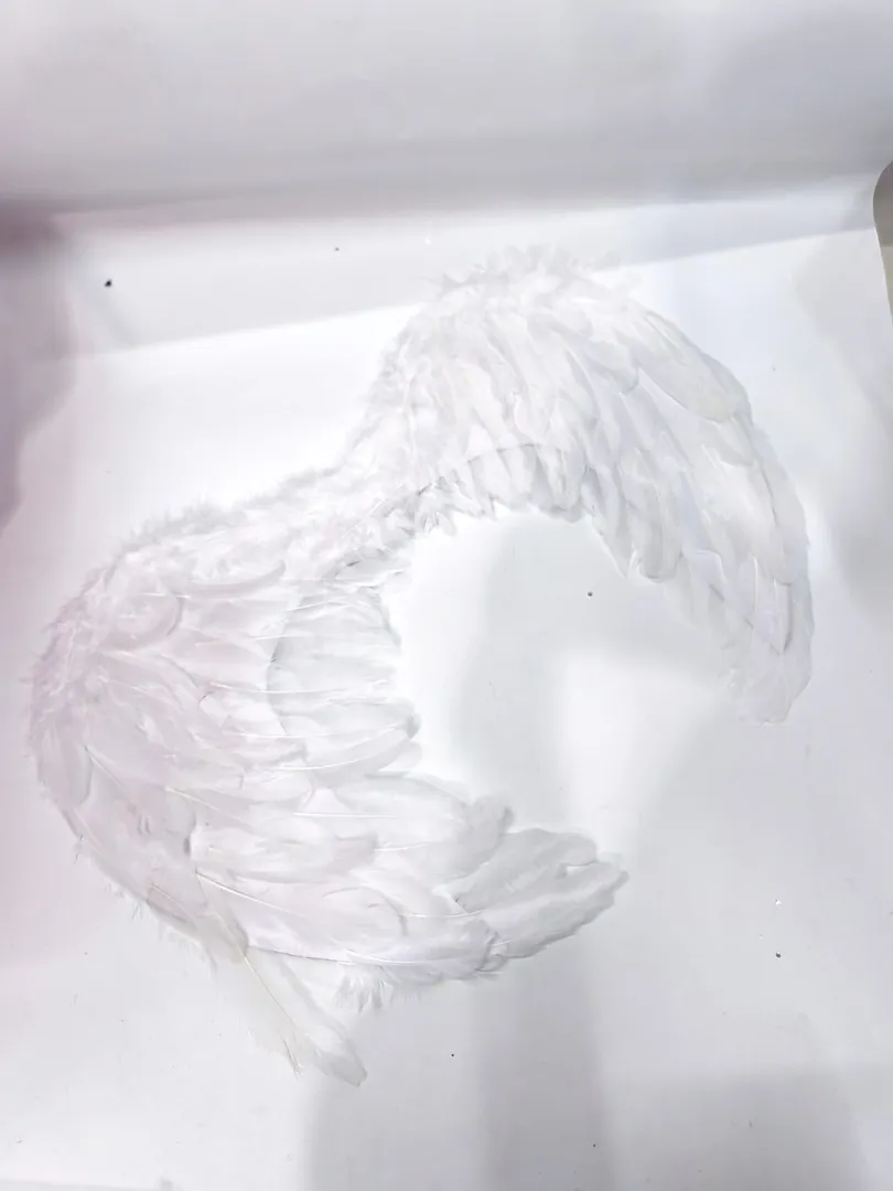 ALAS DE ANGEL CON PLUMAS 