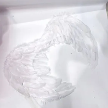 ALAS DE ANGEL CON PLUMAS  - imagen 1