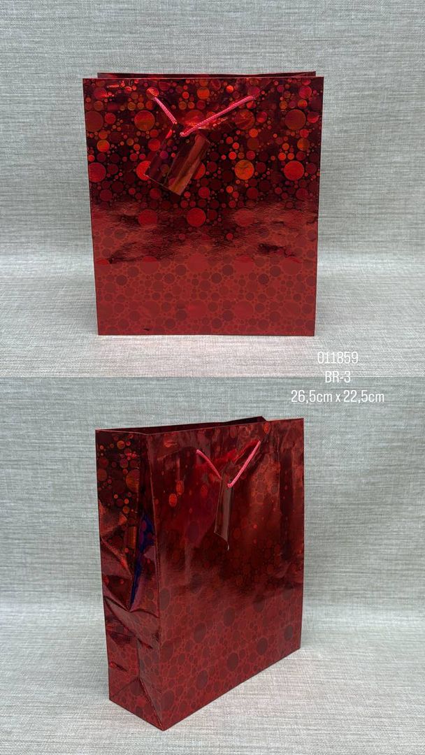 BOLSA DE REGALO HOLOGRAFICA SURTIDA26,5 x 22,5 CM