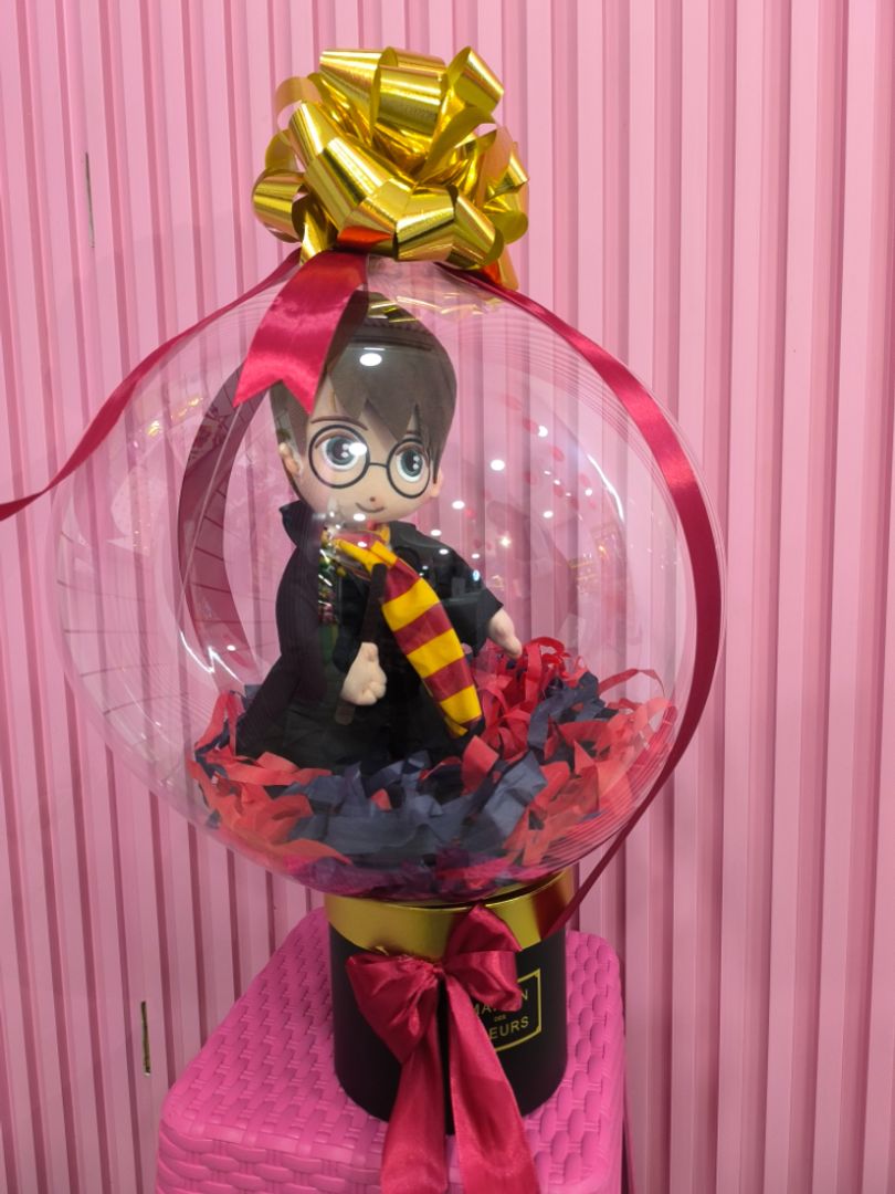 ENCAPSULADO DE HARRY POTTER 