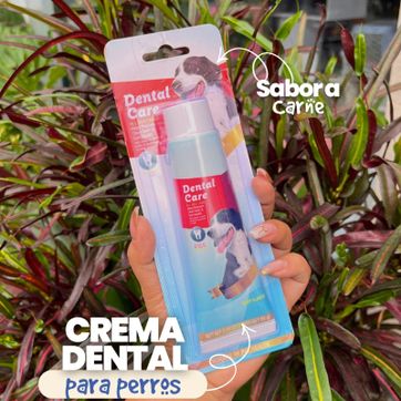 Imagen del producto DENT3