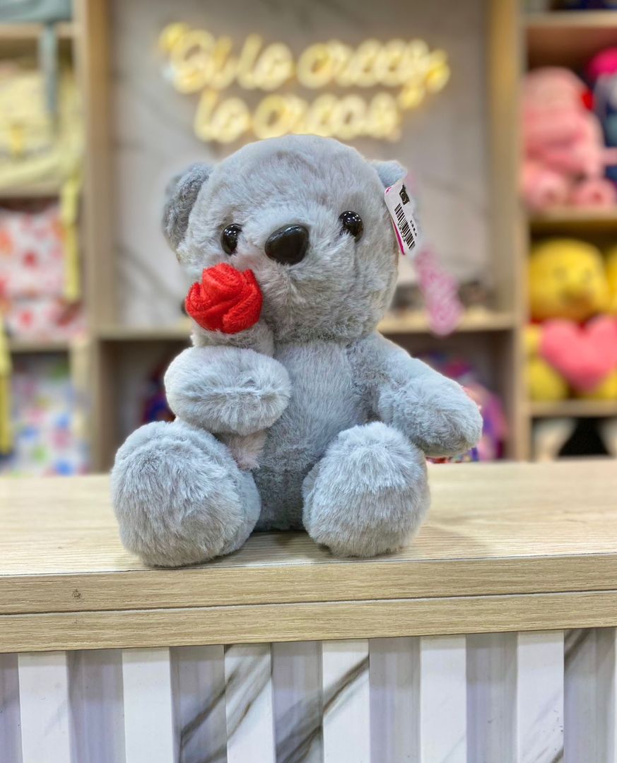 PELUCHES VARIADOS  ( TODOS 20 CM )