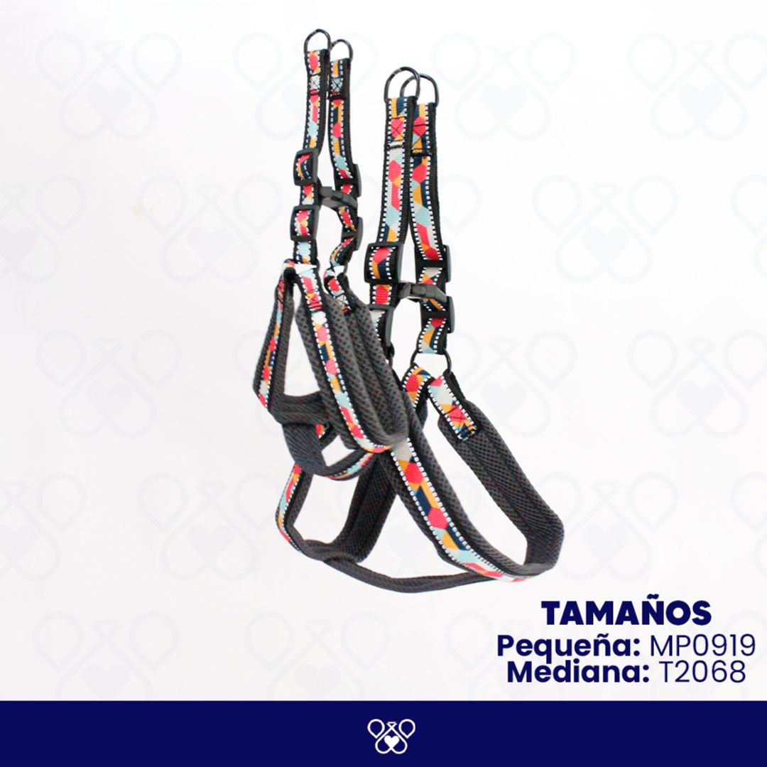MP0919/T2068