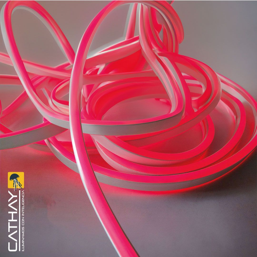 NEON DOBLE FAZ x METRO 11