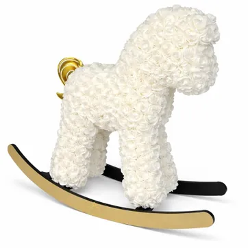 MINI HORSE - imagen 1