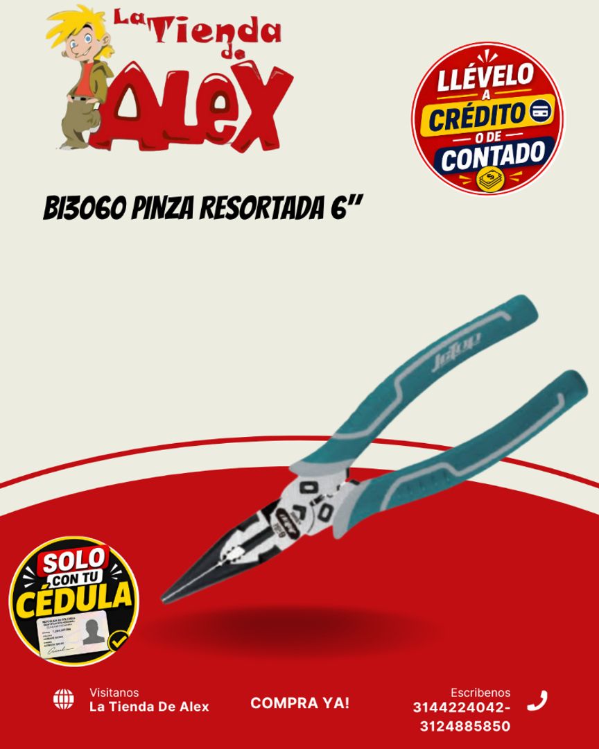BI3060 PINZA RESORTADA 6"