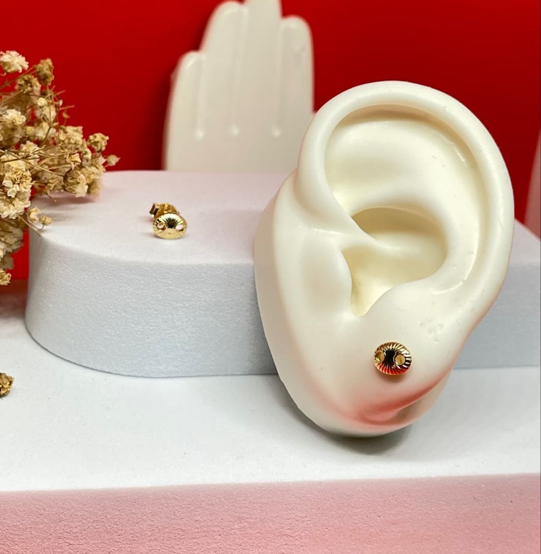 Topos gucci diamantados medianos