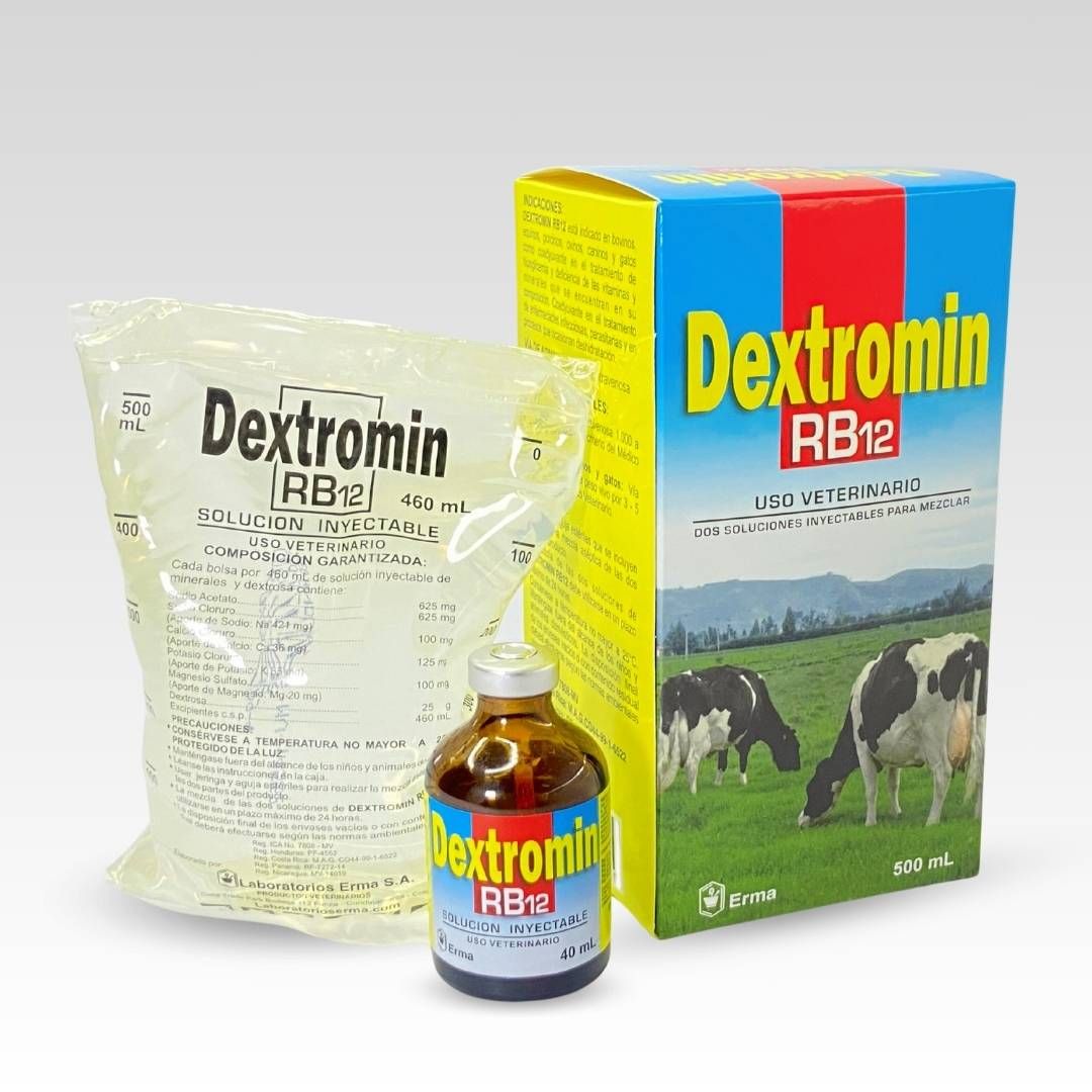 DEXTROMIN RB12 X 500ML
