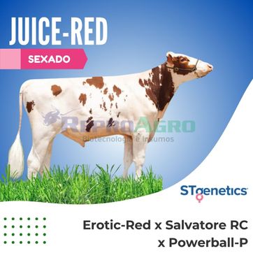 JUICE-RED SEXADO - imagen 1