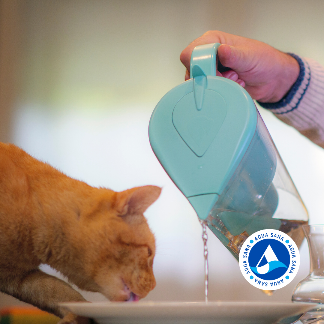 Pack Jarra Alkanatur Drops