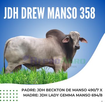 JDH DREW MANSO - imagen 1