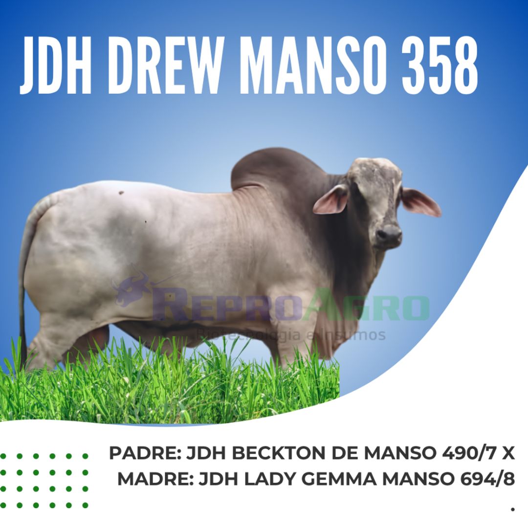JDH DREW MANSO