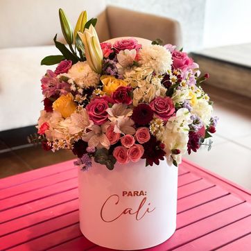 Imagen del producto REF.VARIADO 18