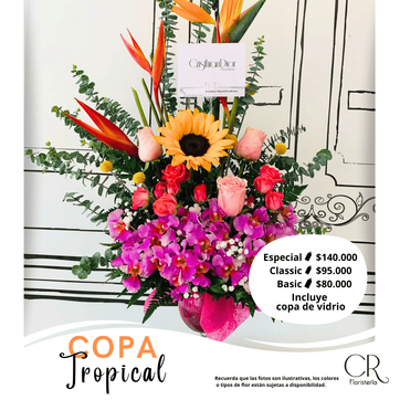 Copa Tropical - imagen 1