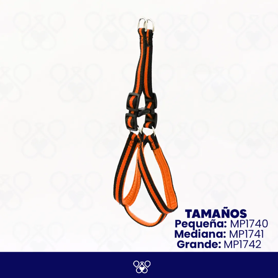 MP174-