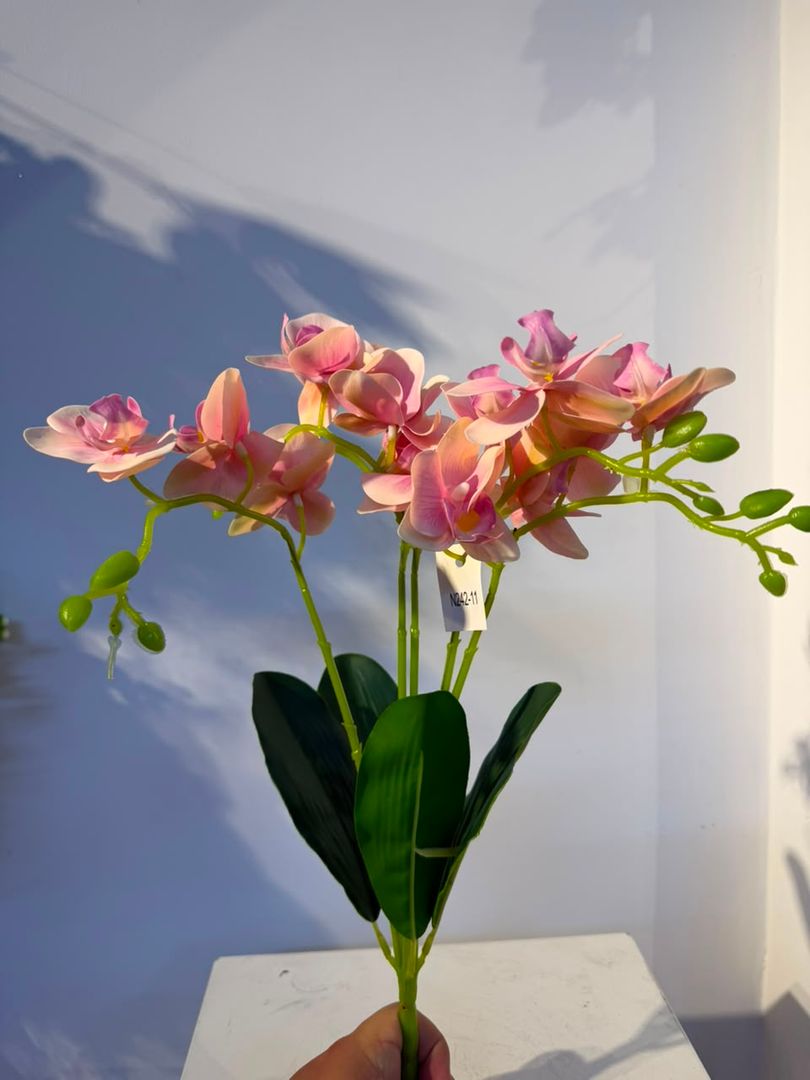 MATICA ORQUIDEA LATEX ROSADA