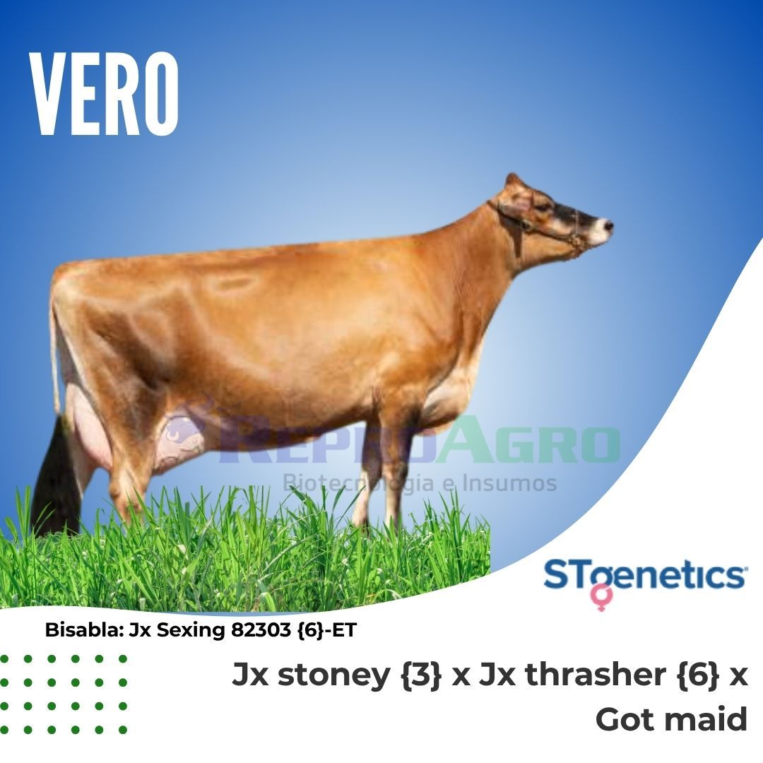 VERO