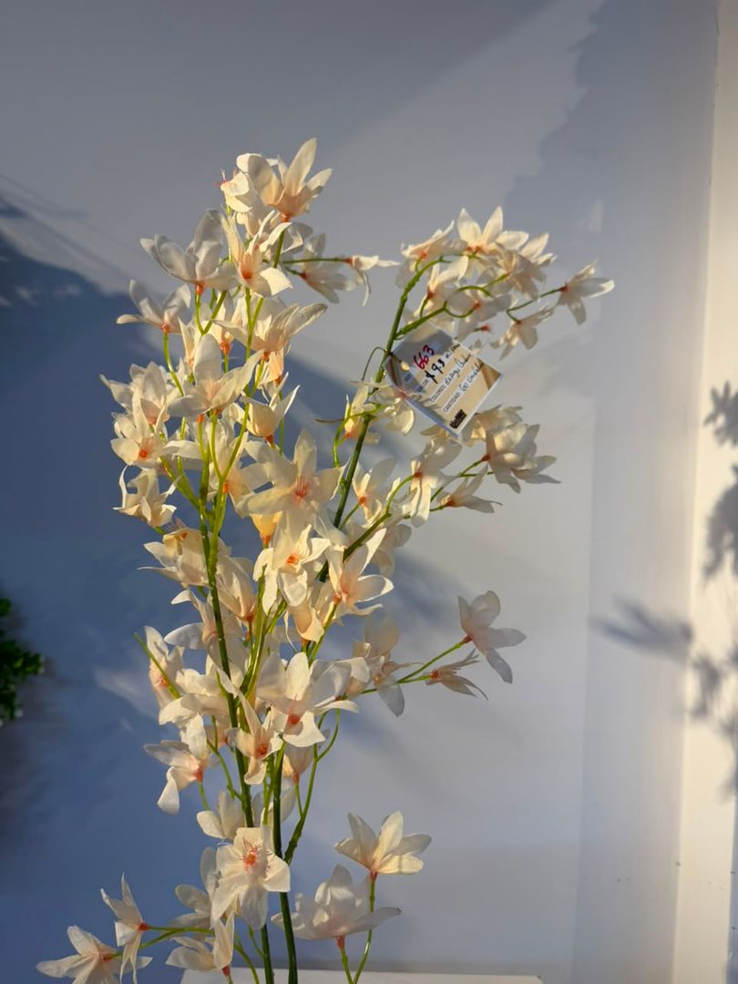 ESPIGA DURAZNO ROSADA