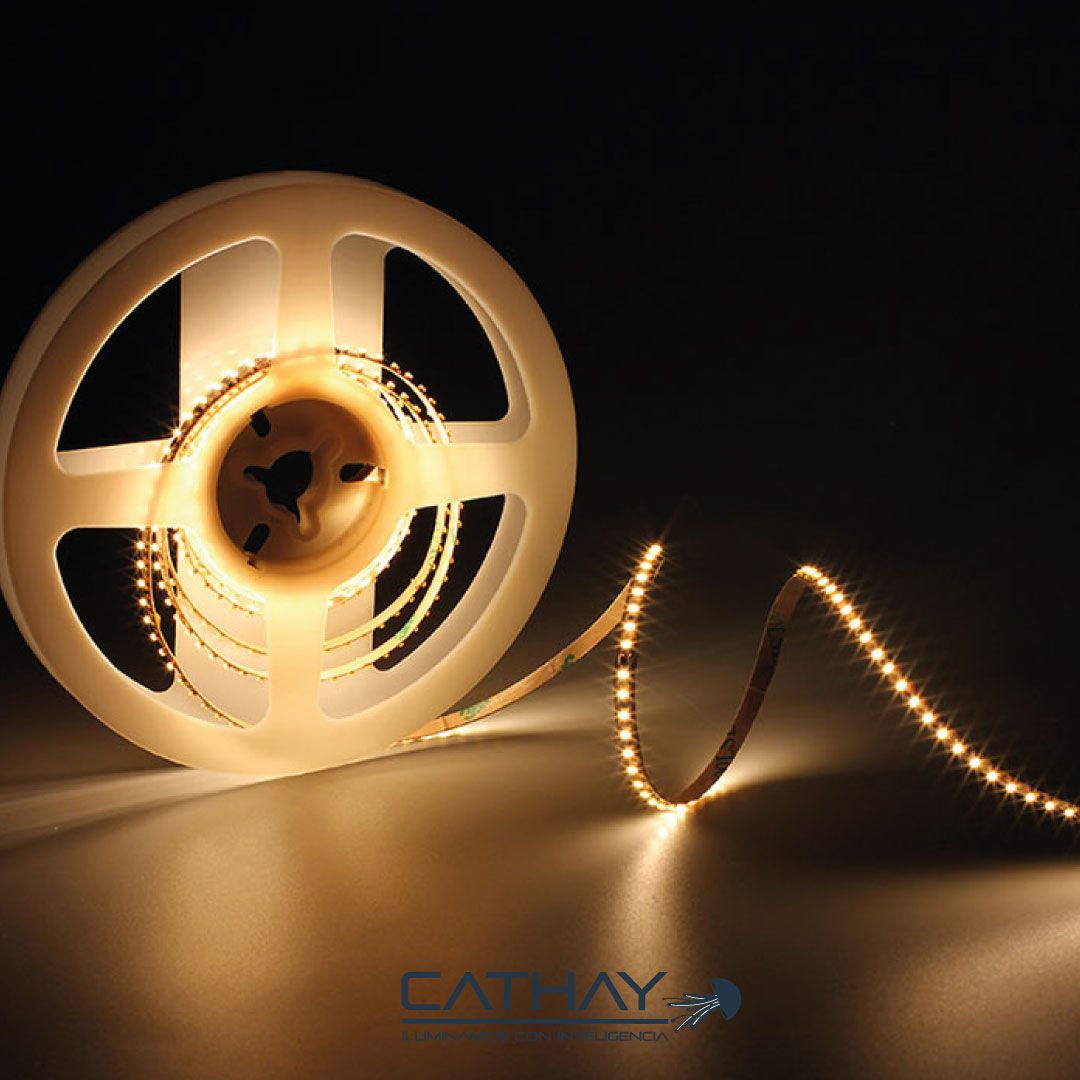 CINTA LED 2110 4MM 6W/MT 240 LED