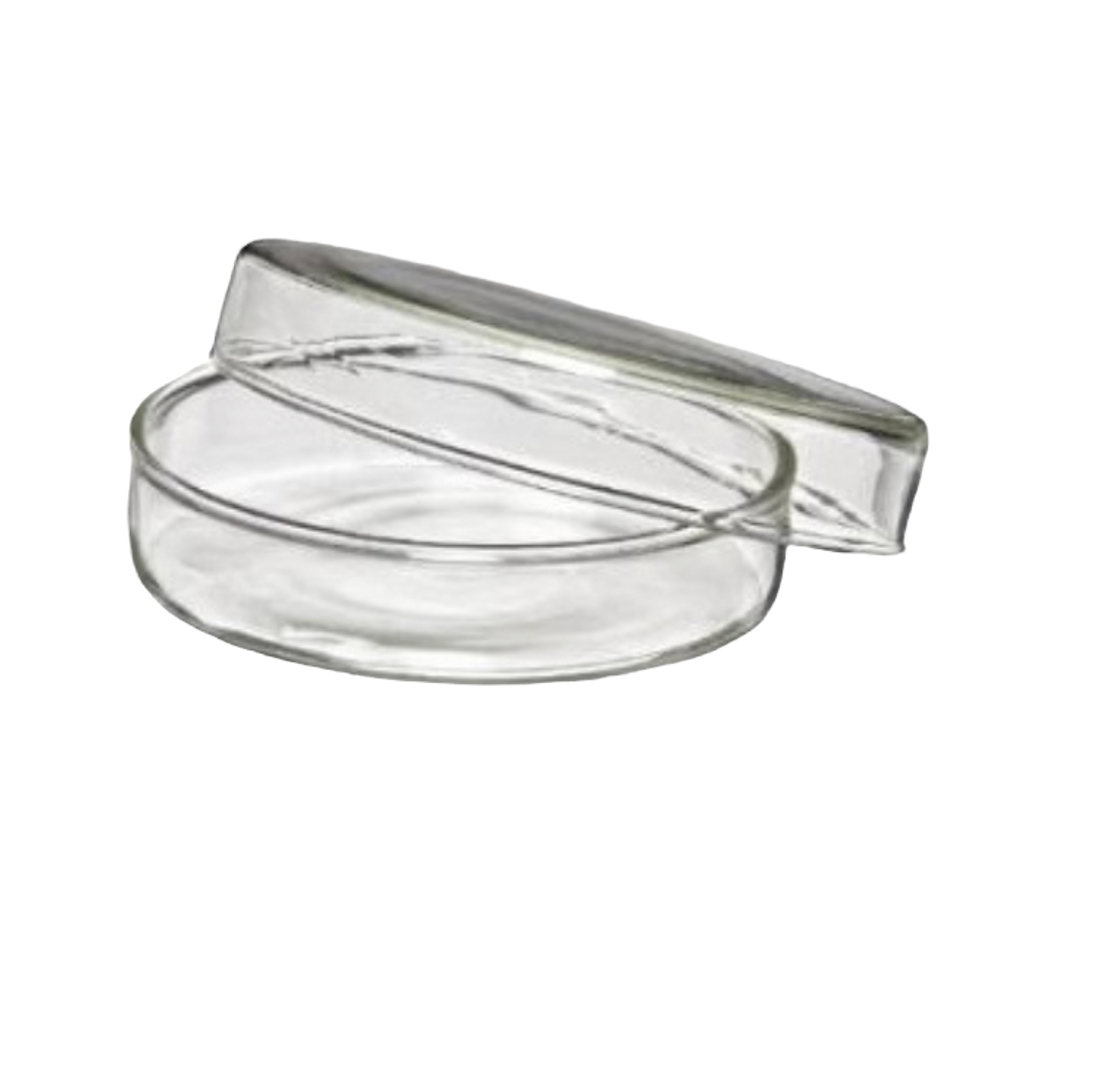 LAB.CAJA DE PETRI VIDRIO 