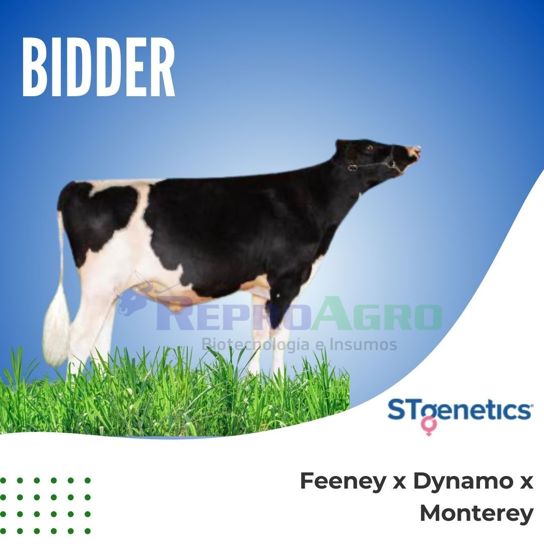 BIDDER