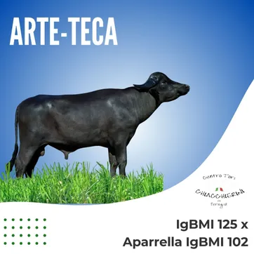 ARTE-TECA - imagen 1