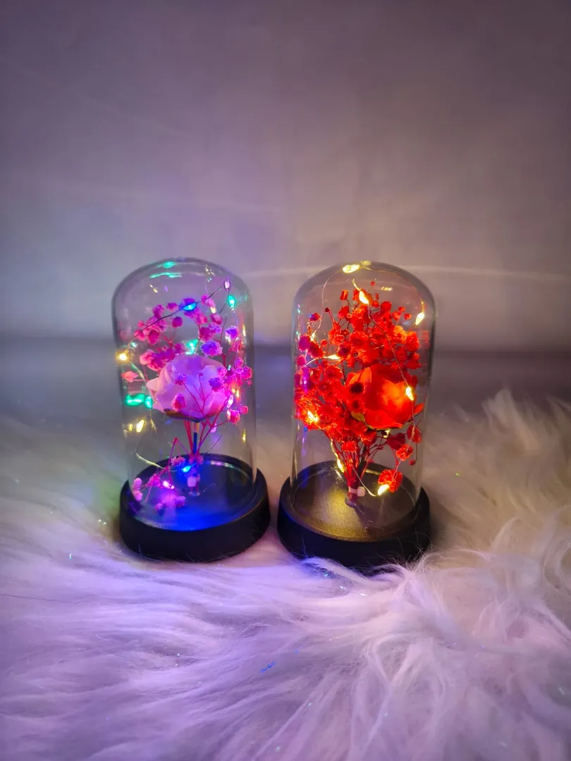 BURBUJA LUZ JM027