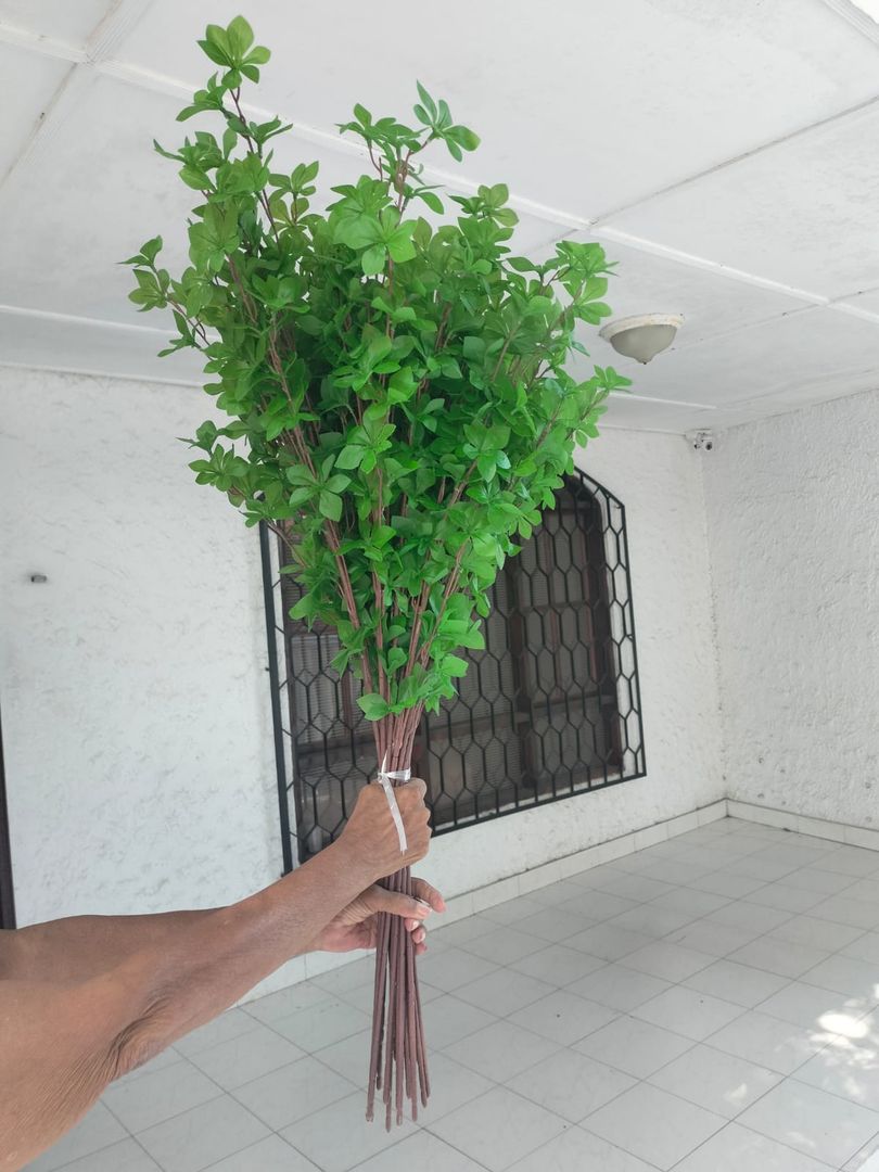 RAMAS DE ARBOL