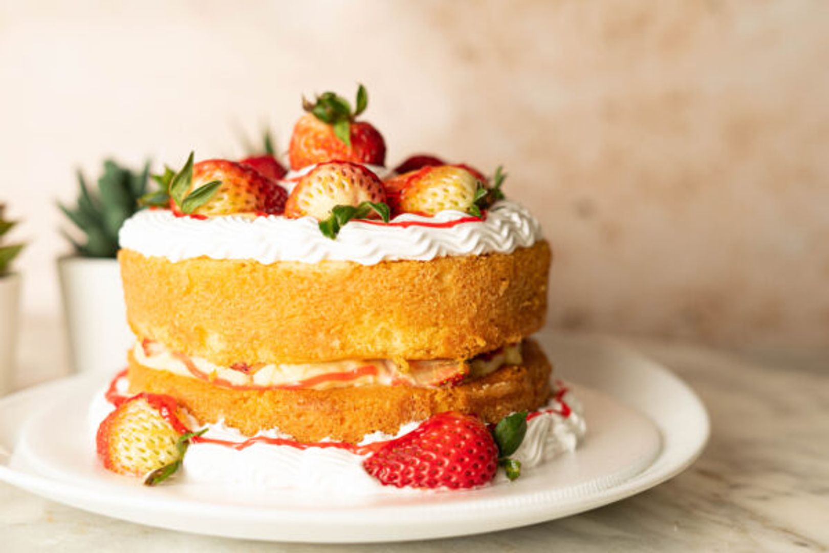 Boston (elige sabor)