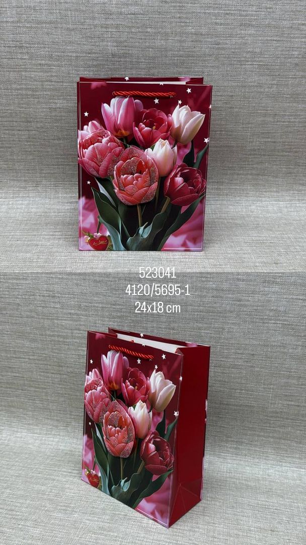 BOLSA DE REGALO SURTIDA 24X18 CM