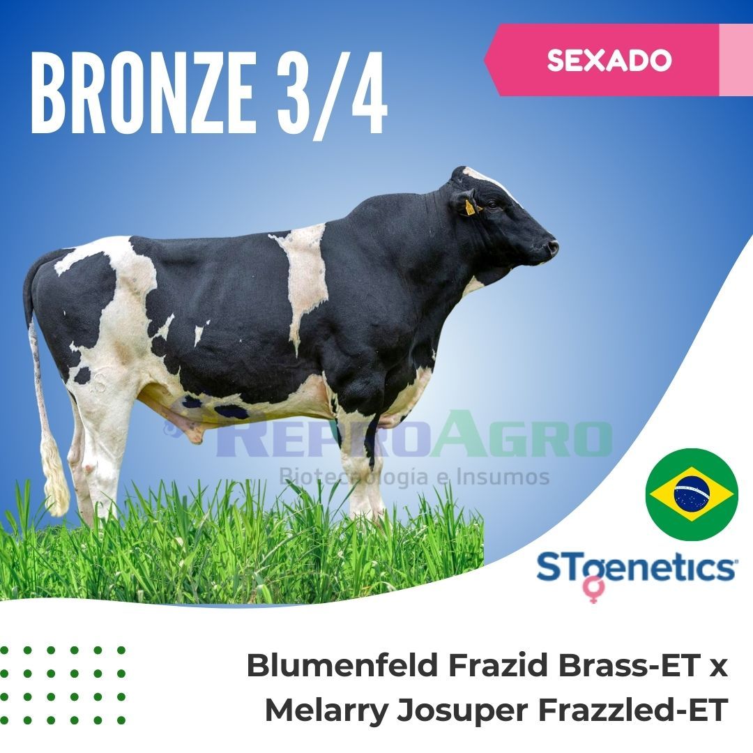 BRONZE SEXADO