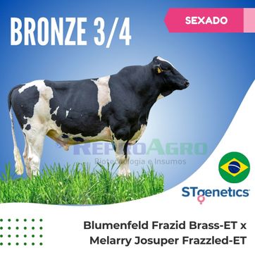BRONZE SEXADO - imagen 1