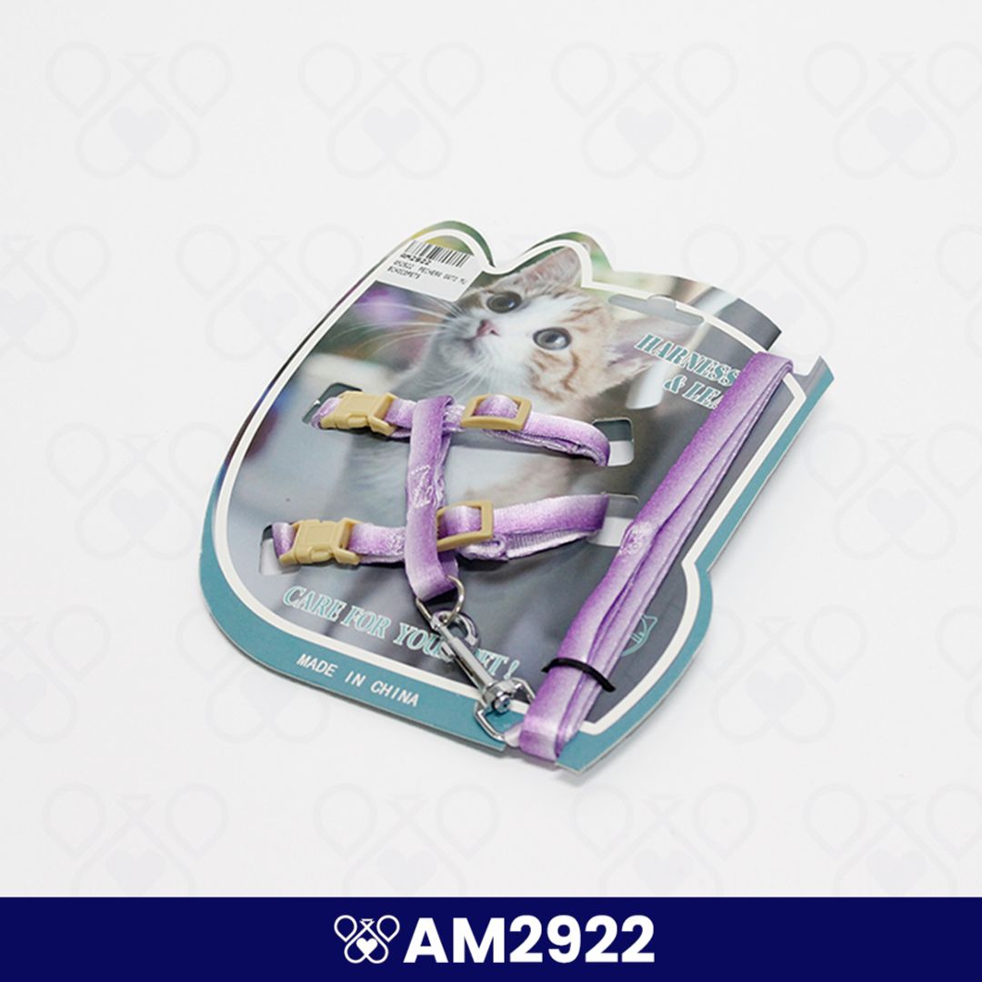 AM2922