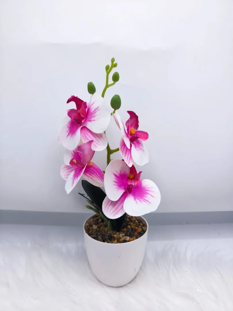 MATERO ORQUIDEA PM547