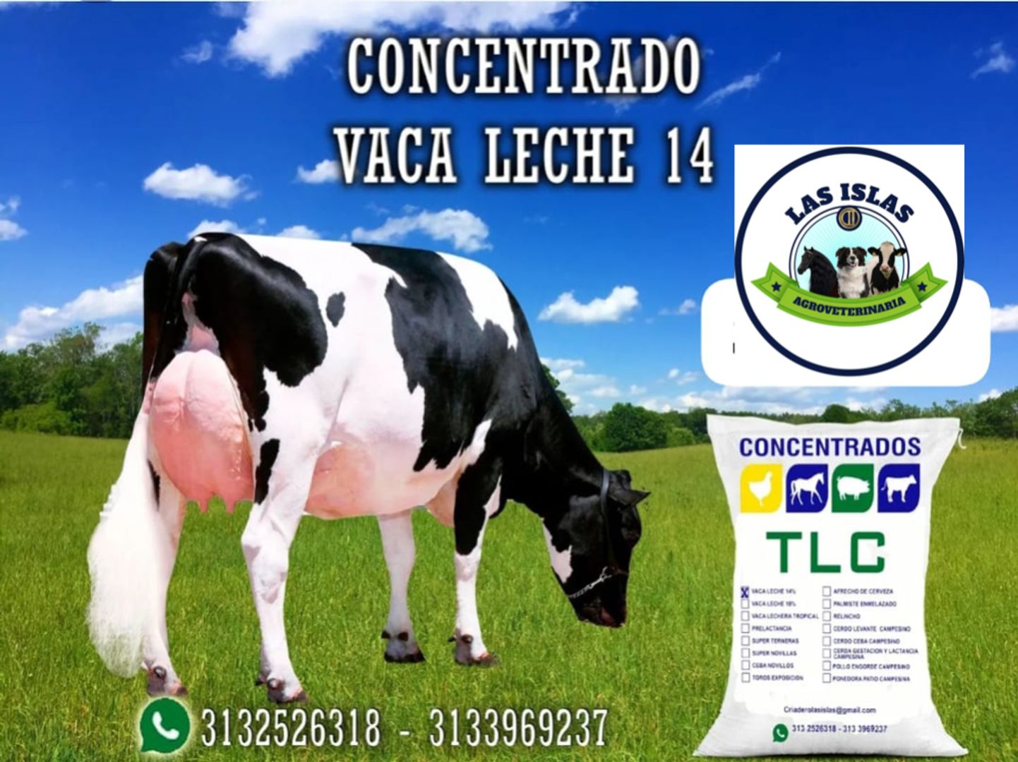 VACA  LECHE 14 PELETIZADO TLC x 40 Kilos