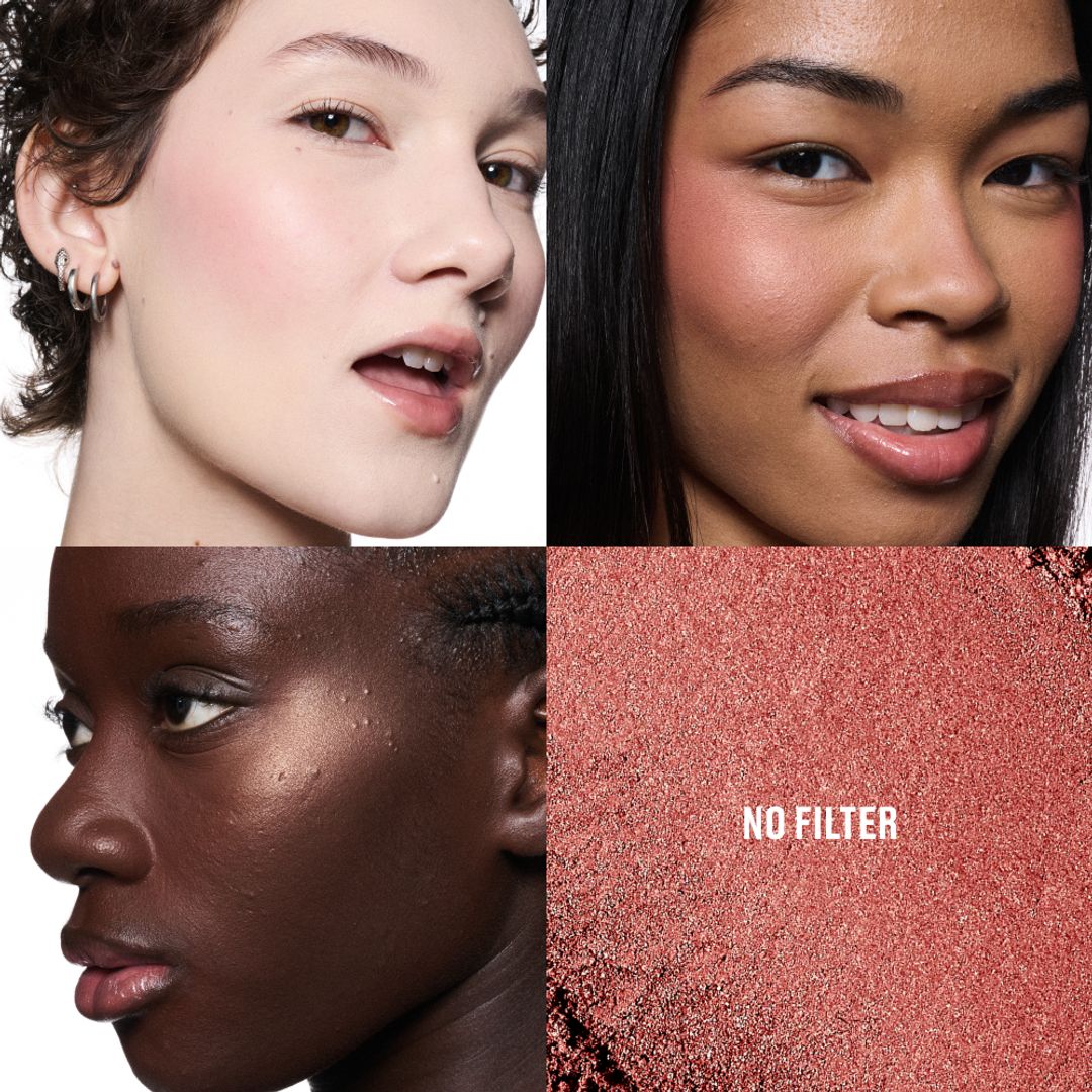 SKINFINISH COLORSTRUCK BLUSH - NO FILTER 