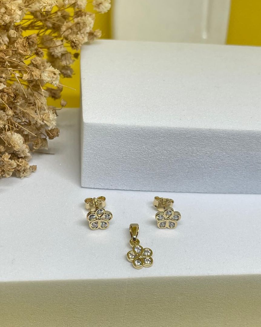 Conjunto flor silueta cristal
