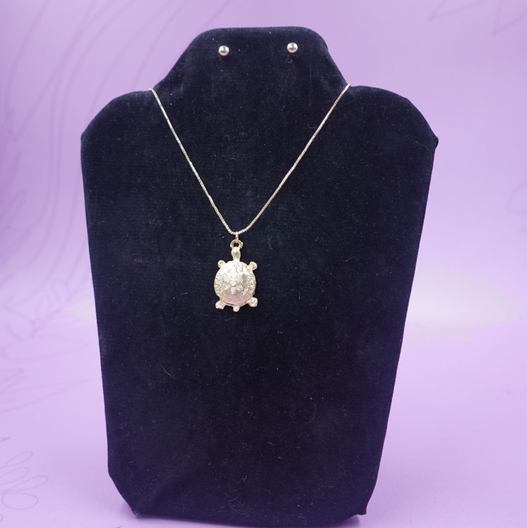 CADENA TORTUGA + ARETA 