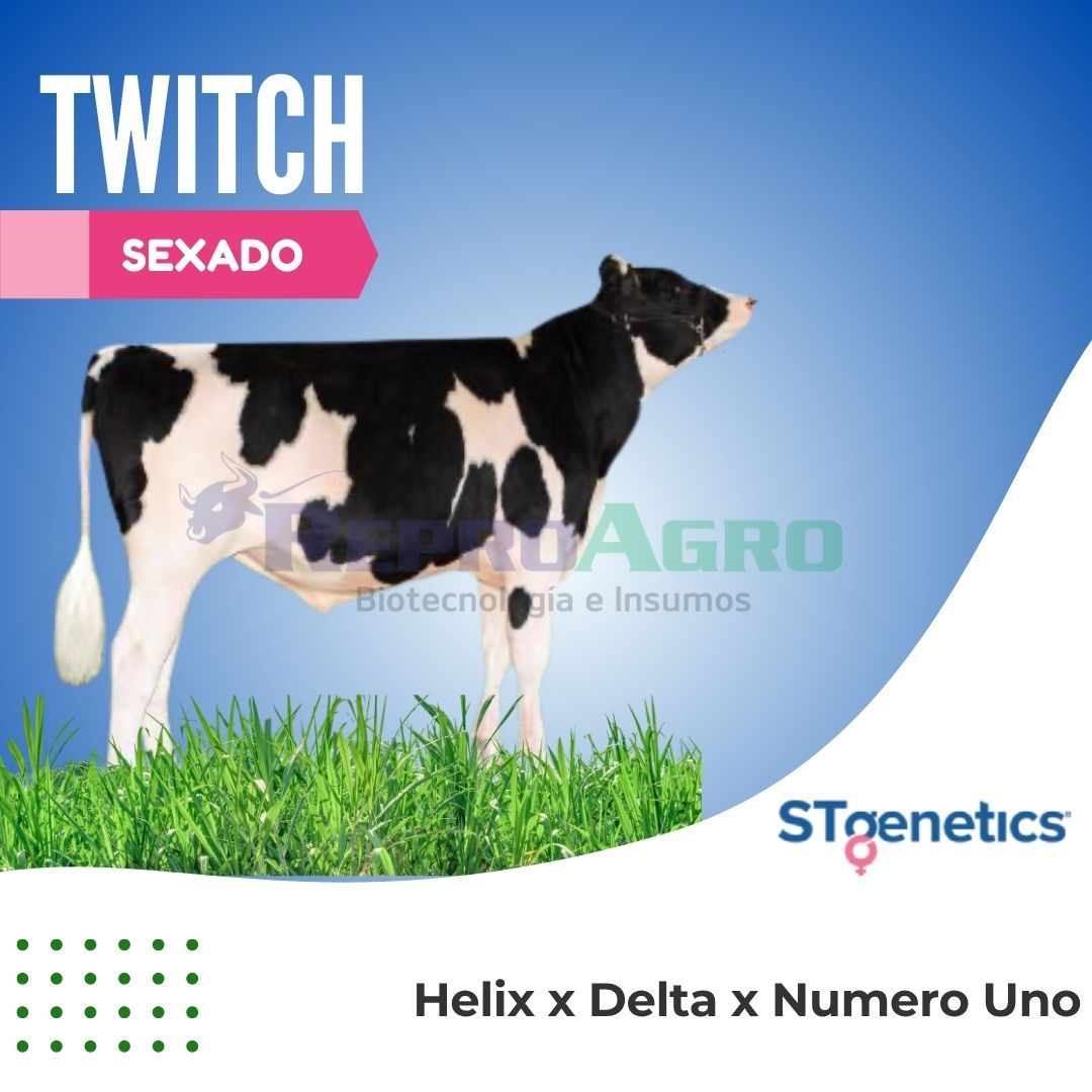 TWITCH SEXADO