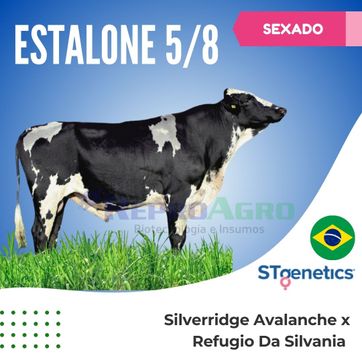 ESTALONE SEXADO - imagen 1