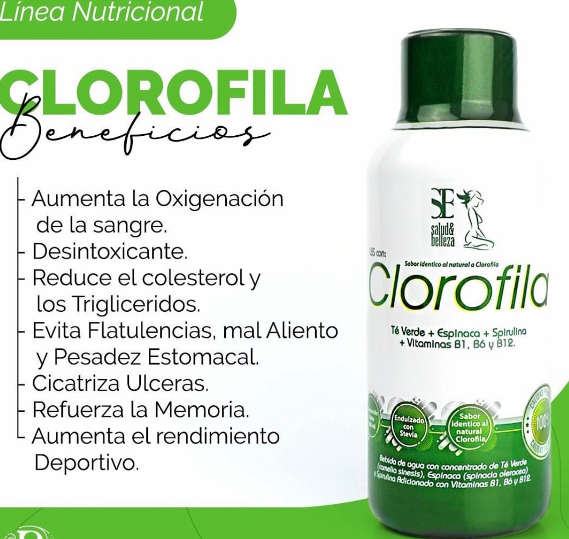 CLOROFILA