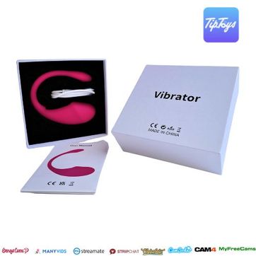 H01 App | Vibrator Huevo Tipo Ls2 | 352025001055318-0 - imagen 1