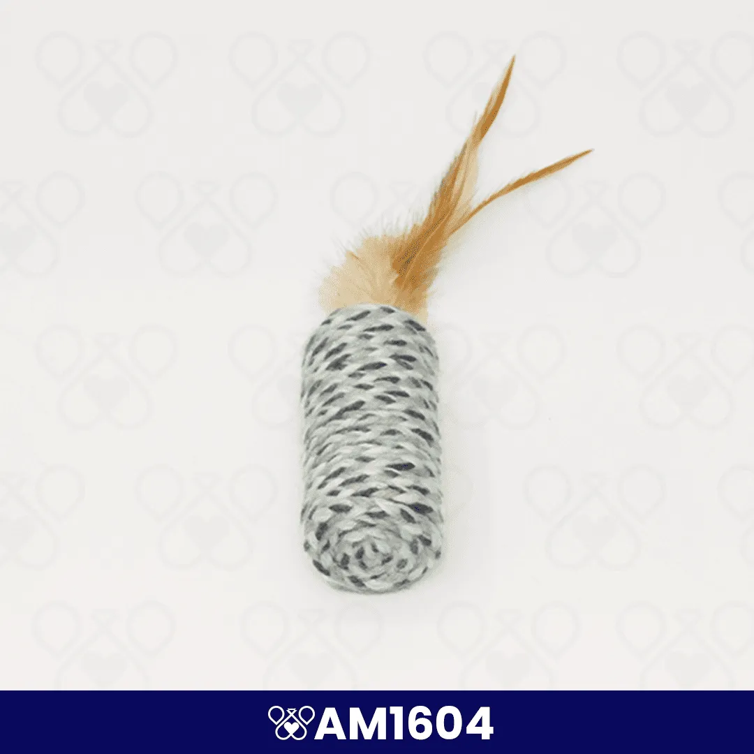 AM1604