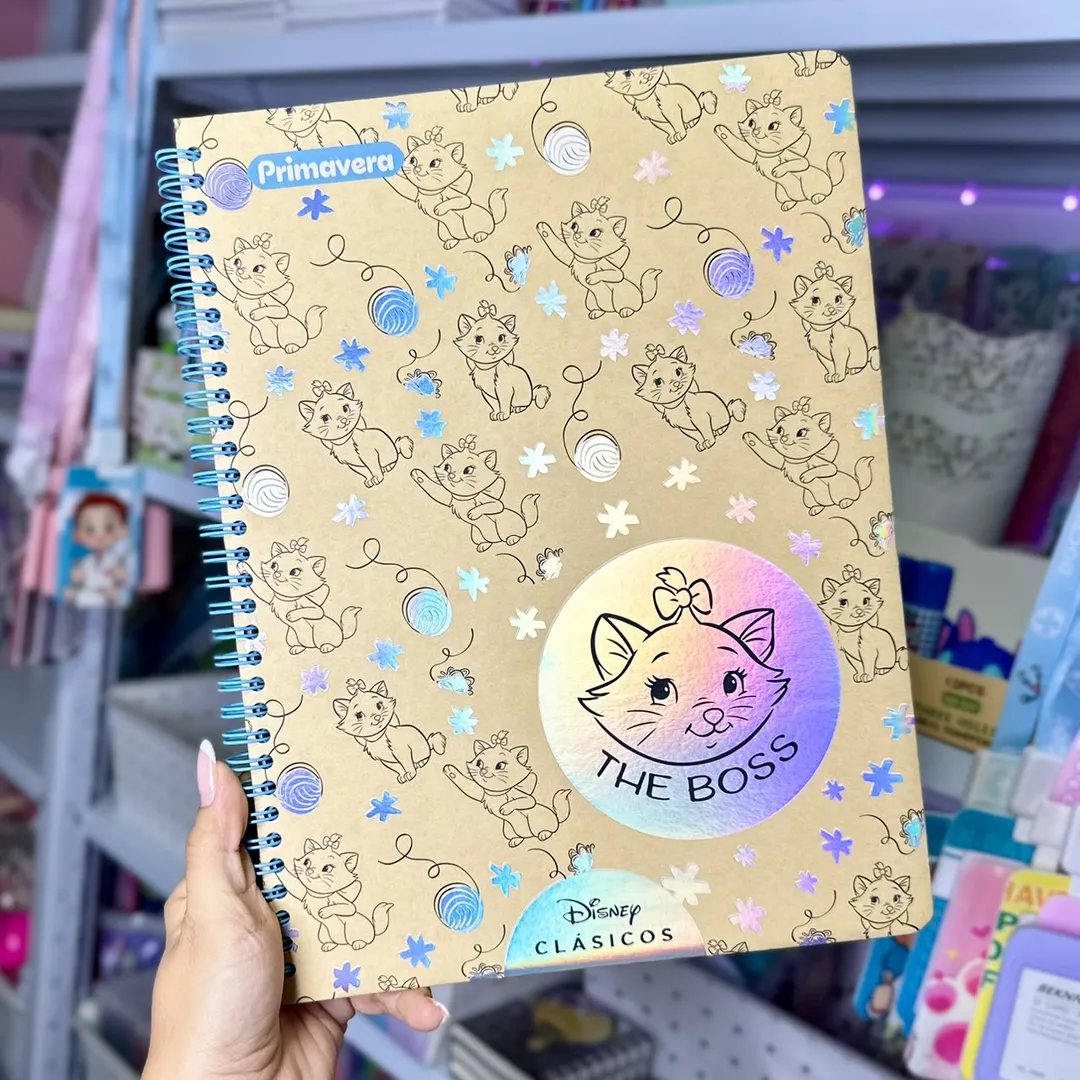 AGENDA DISNEY CLASÍCOS PRIMAVERA 80 HOJAS GRANDE